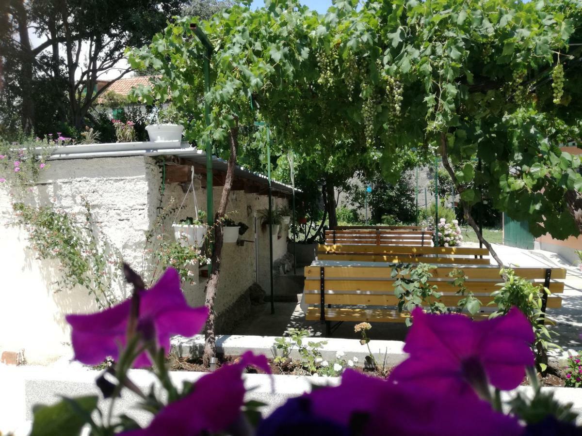 Apartament Odrina