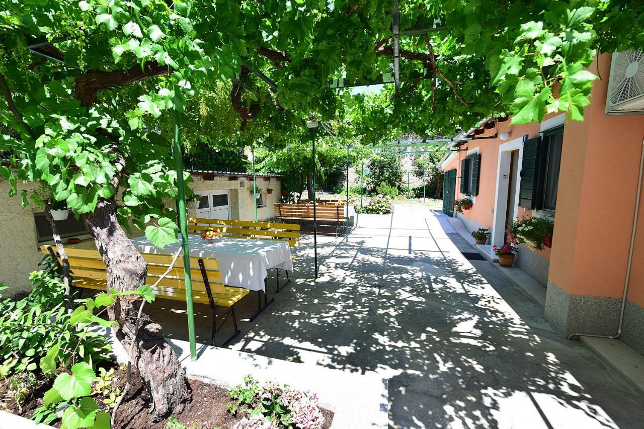 Apartment Odrina *